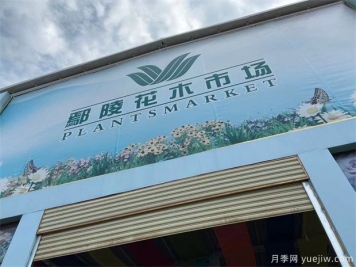 鄢陵县花木产业未必能想到的那些问题