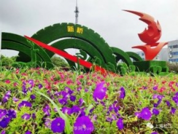 上海松江这里的花坛、花境“上新”啦!特色景观升级!