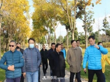 提升城市园林绿化，苏州向上海学什么？